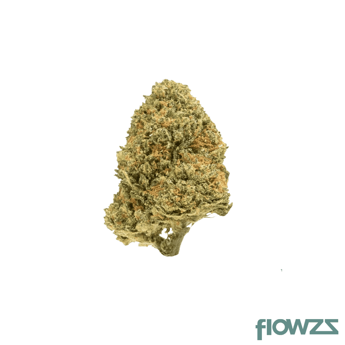 social-choice-21-1-flx-efa-el-faro