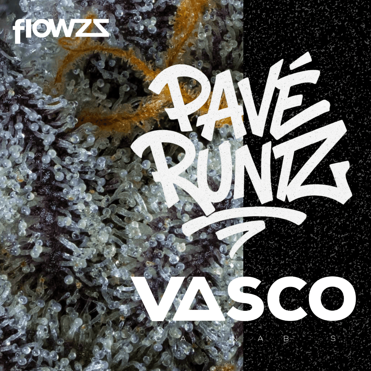 Vasco PR 21/1 Pave Runtz