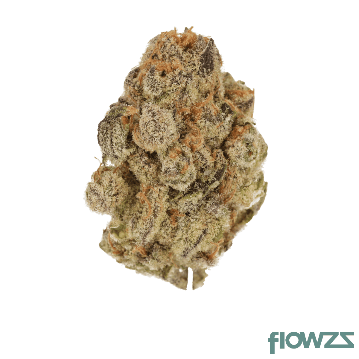 cannamedical-indica-classic-zaf-black-cherry-punch