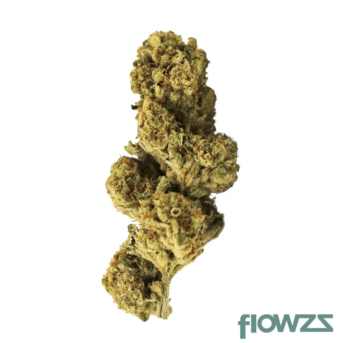 luana-20-1-rainbow-papaya-bomb