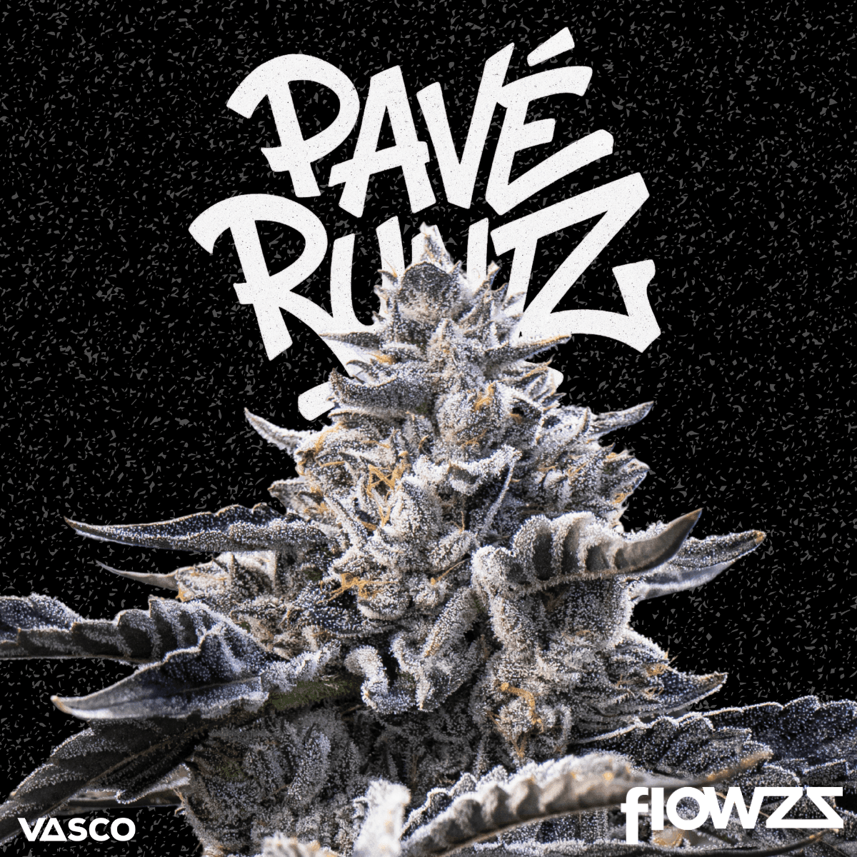 Vasco PR 21/1 Pave Runtz