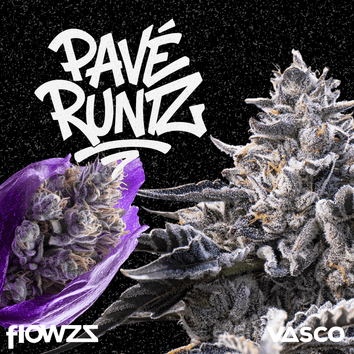 Vasco PR 21/1 Pave Runtz