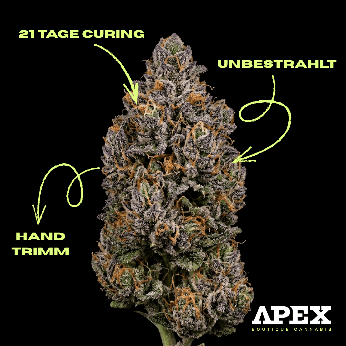Apex DNC CA 35/1 Durban Nectar