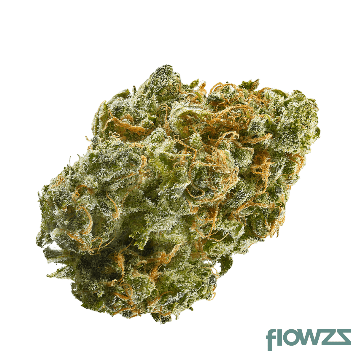 Medical Saints 21/1 LEM Lemonatti