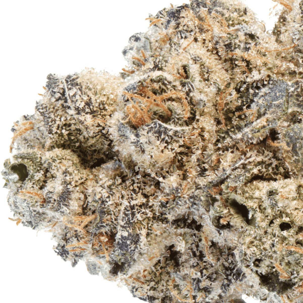 ghostdrops-30-1-cgd-rainbow-pave