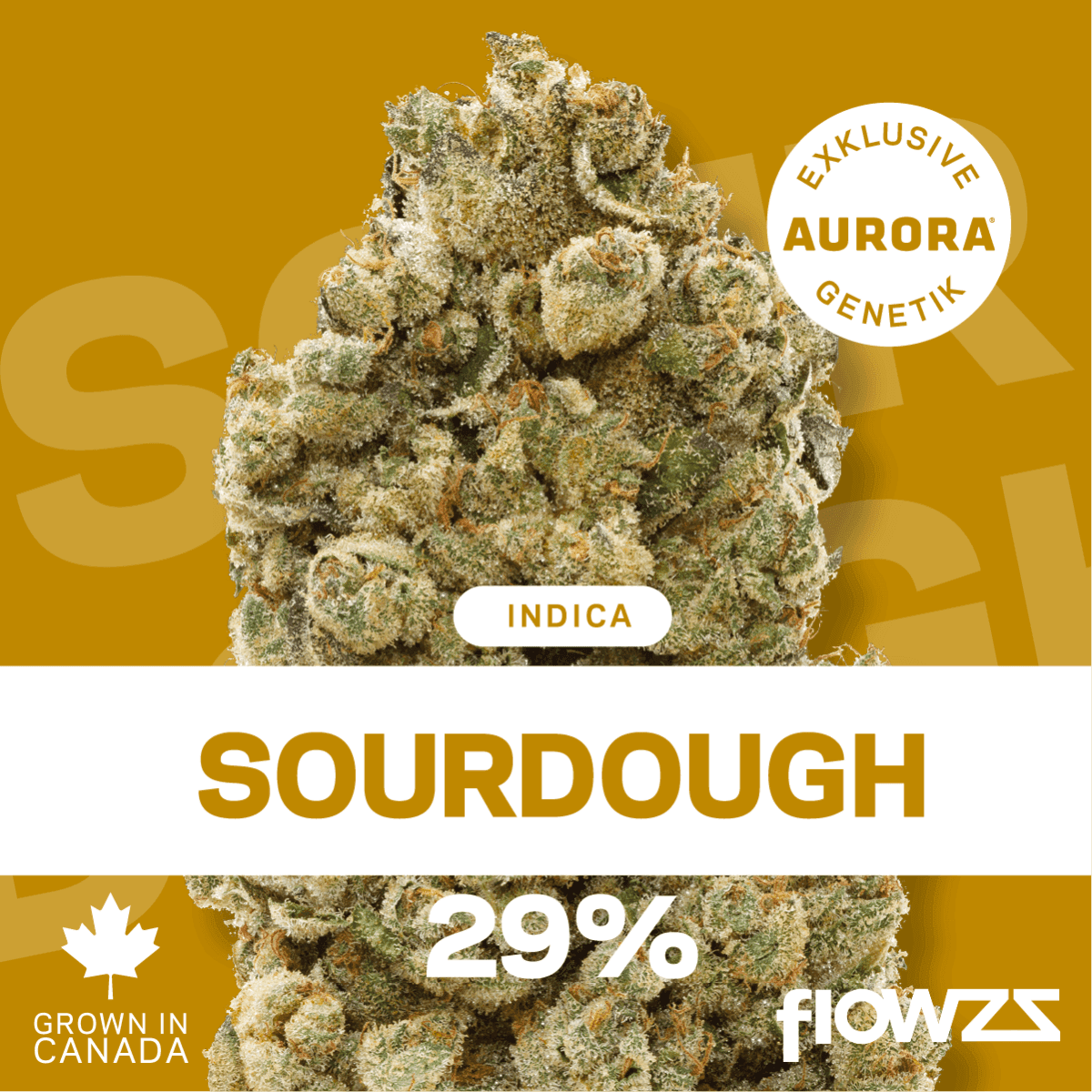 Pedanios 29/1 SRD-CA Sourdough