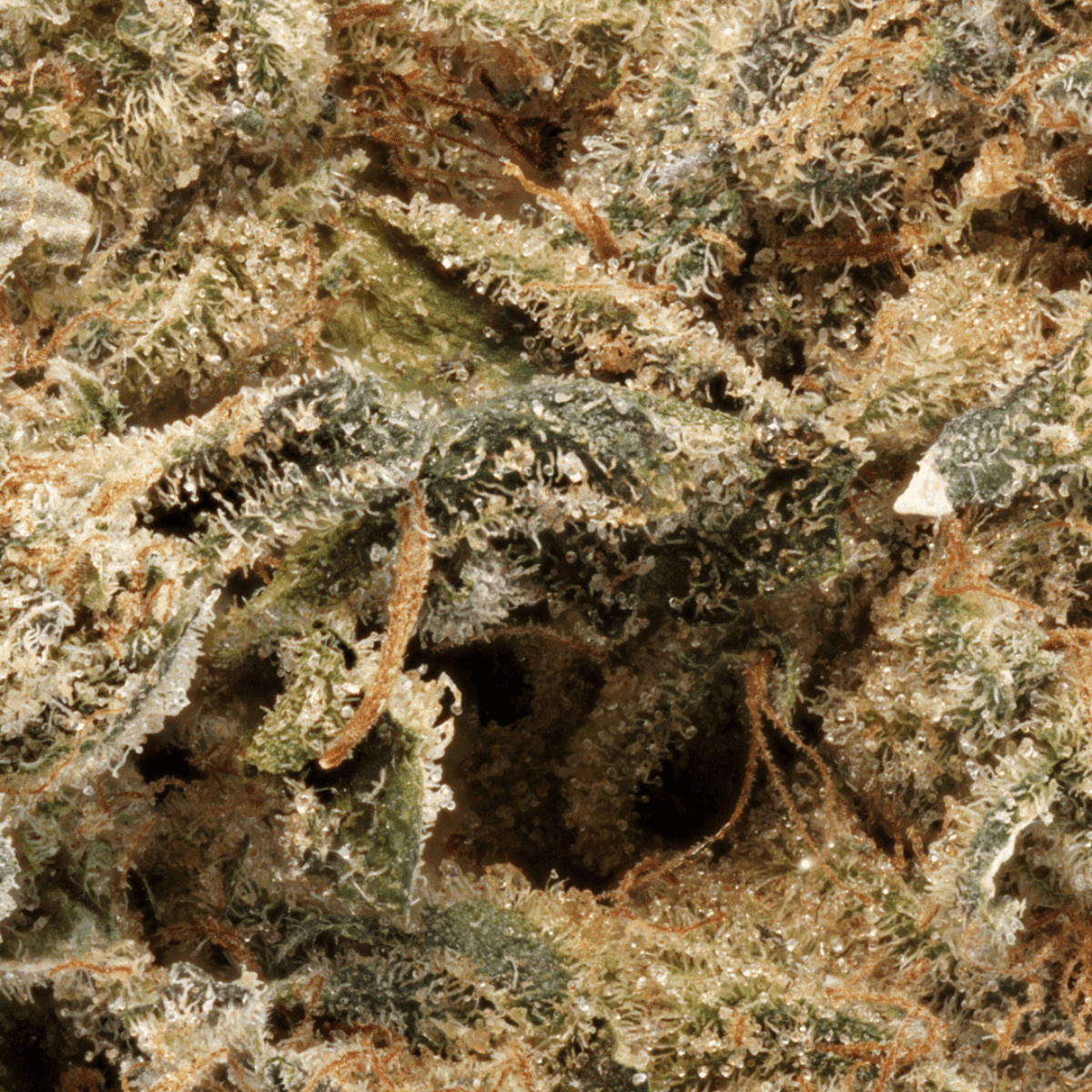 ghostdrops-30-1-cgd-rainbow-pave