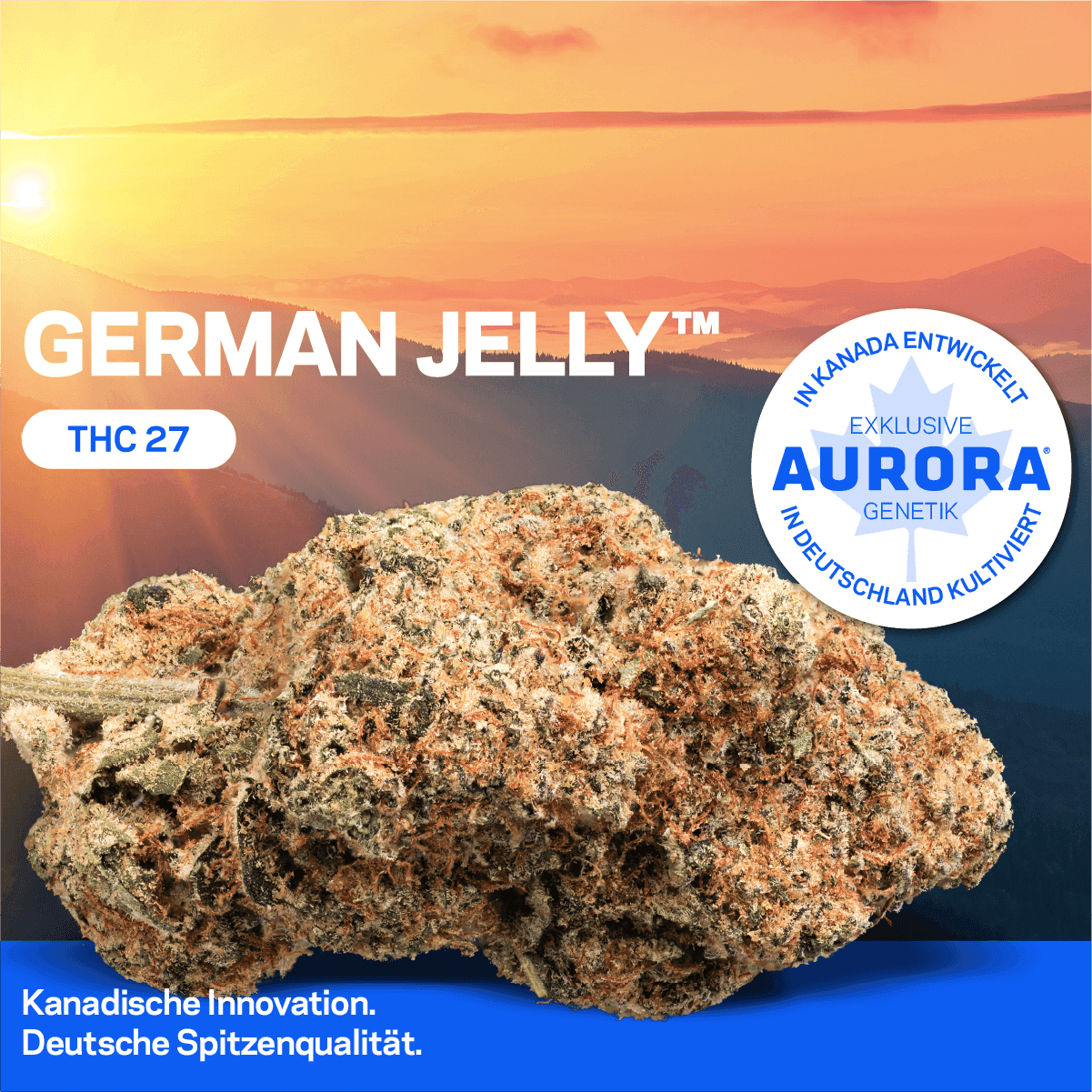  Aurora 27/1 GLY German Jelly