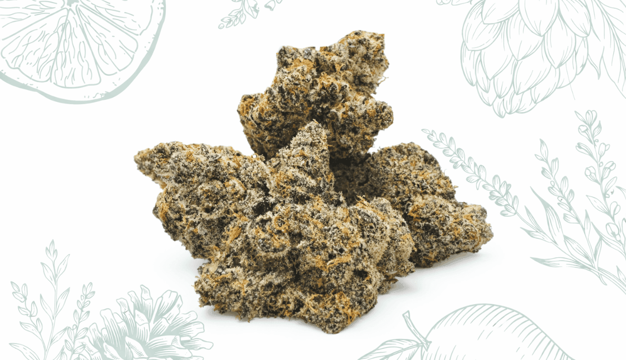 BOTANICS Tonic Fuel 22/1