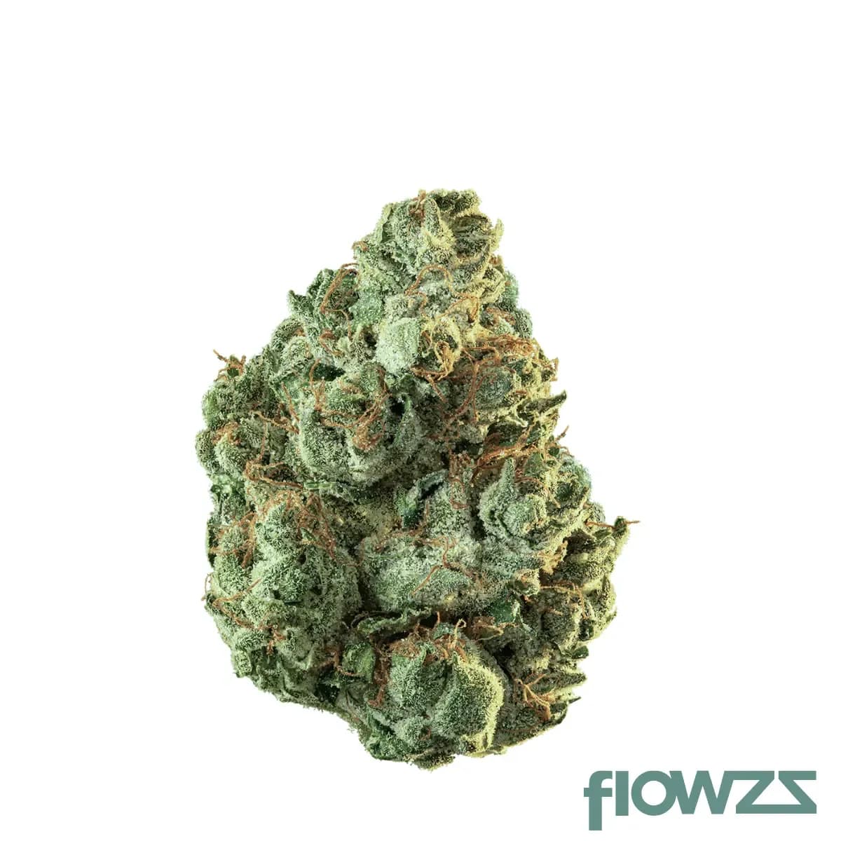 imc-hw-thc18-token-hollywood