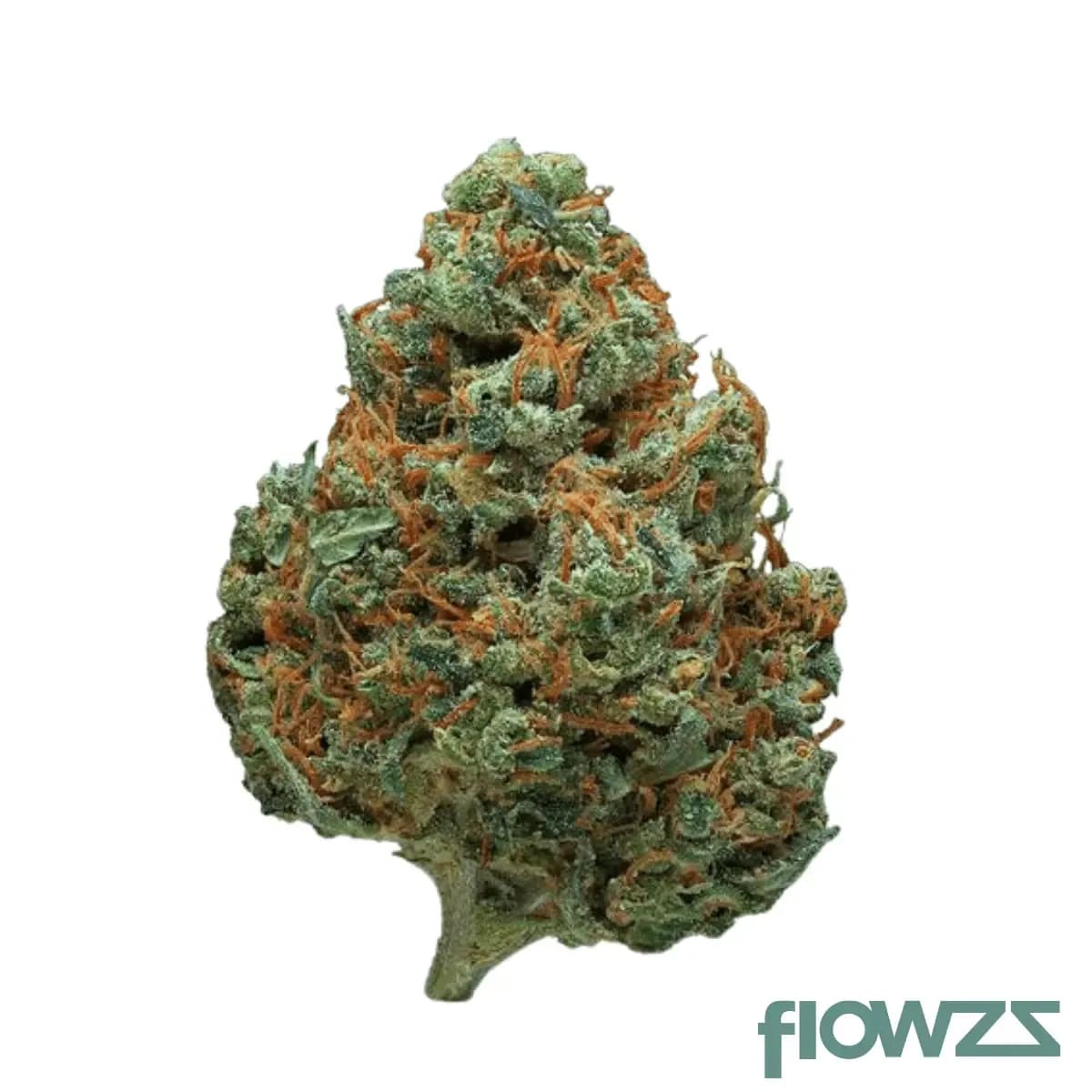 madrecan-21-1-pip-pineapple-purps