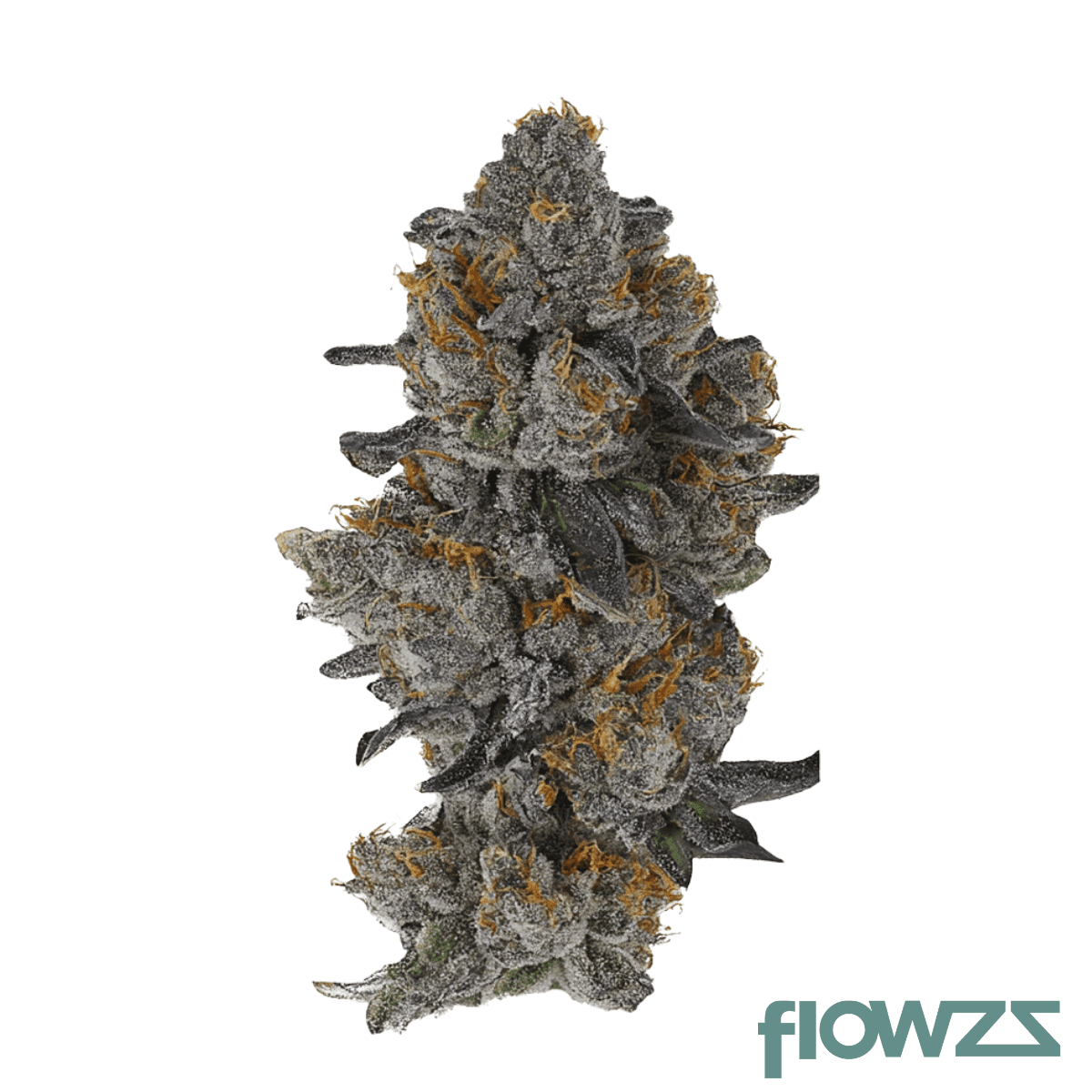 30-1-amici-slh-super-lemon-haze