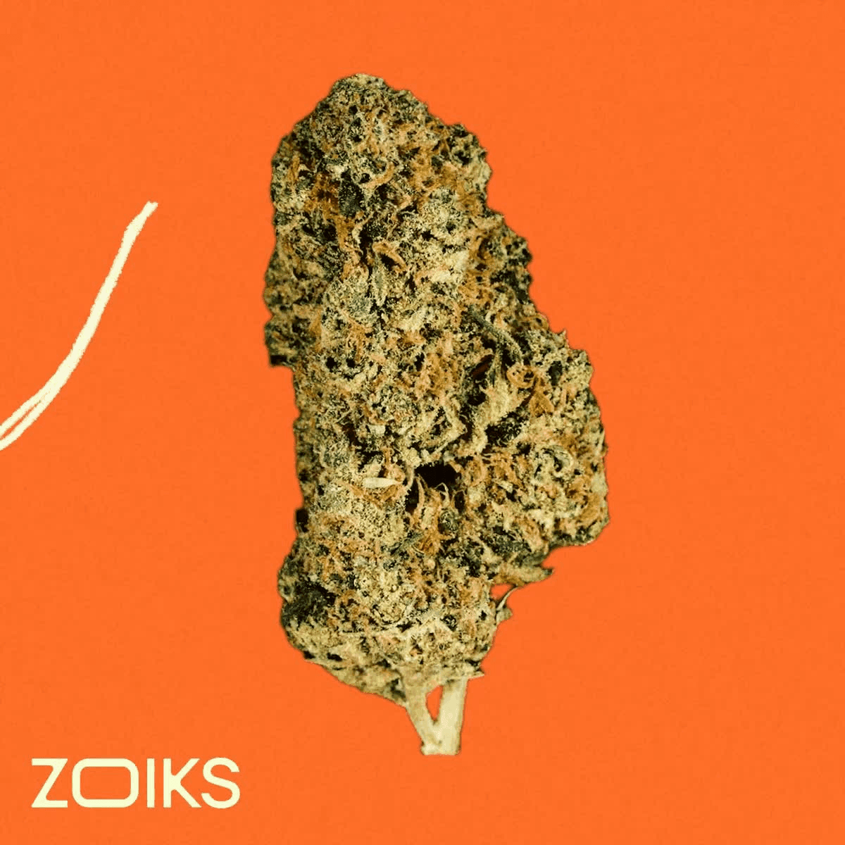ZOIKS 26/1 TG Tangrini