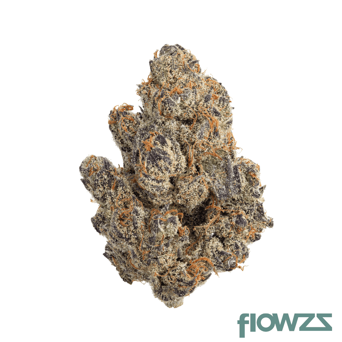 nice-28-1-lpp-lavender-x-power-plant