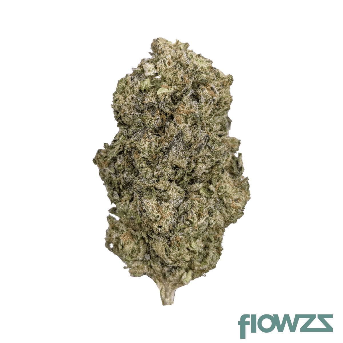 sibanax-gmo-zkittlez-18-1