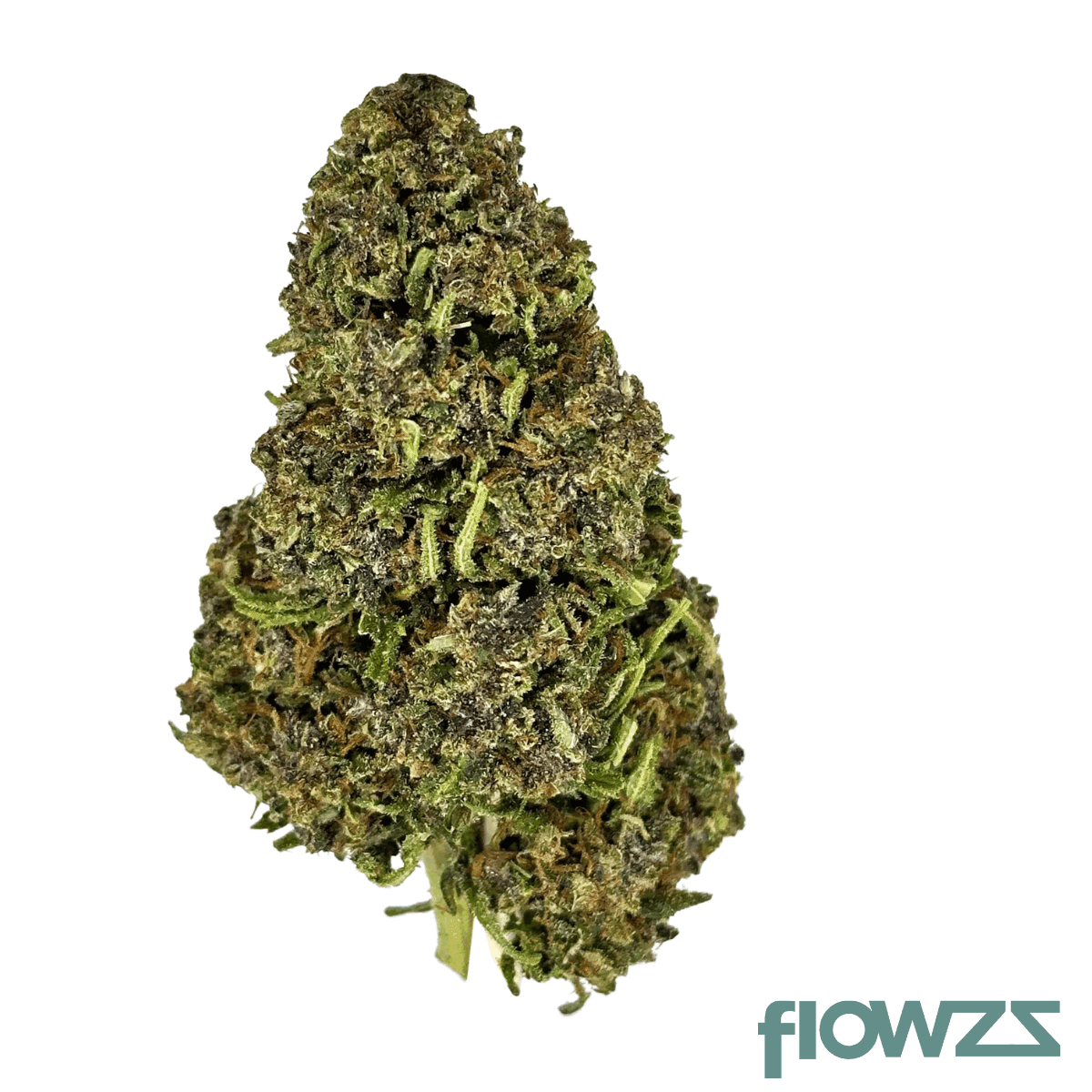 czechout-21-1-puo-purple-octane