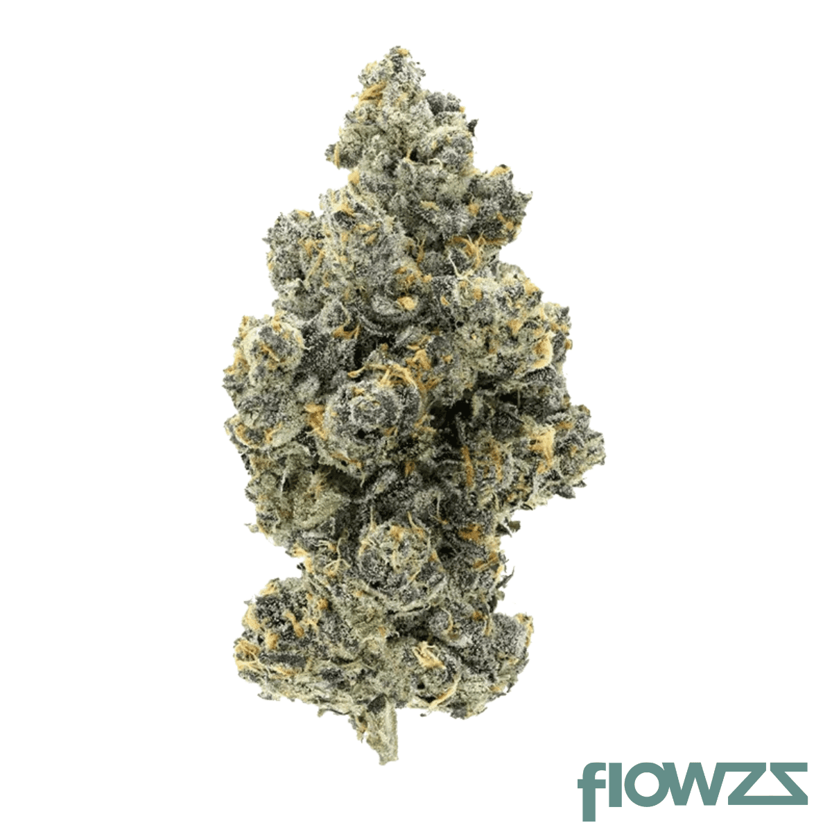 cannamedical-hybrid-classic-ka-ring-of-sour