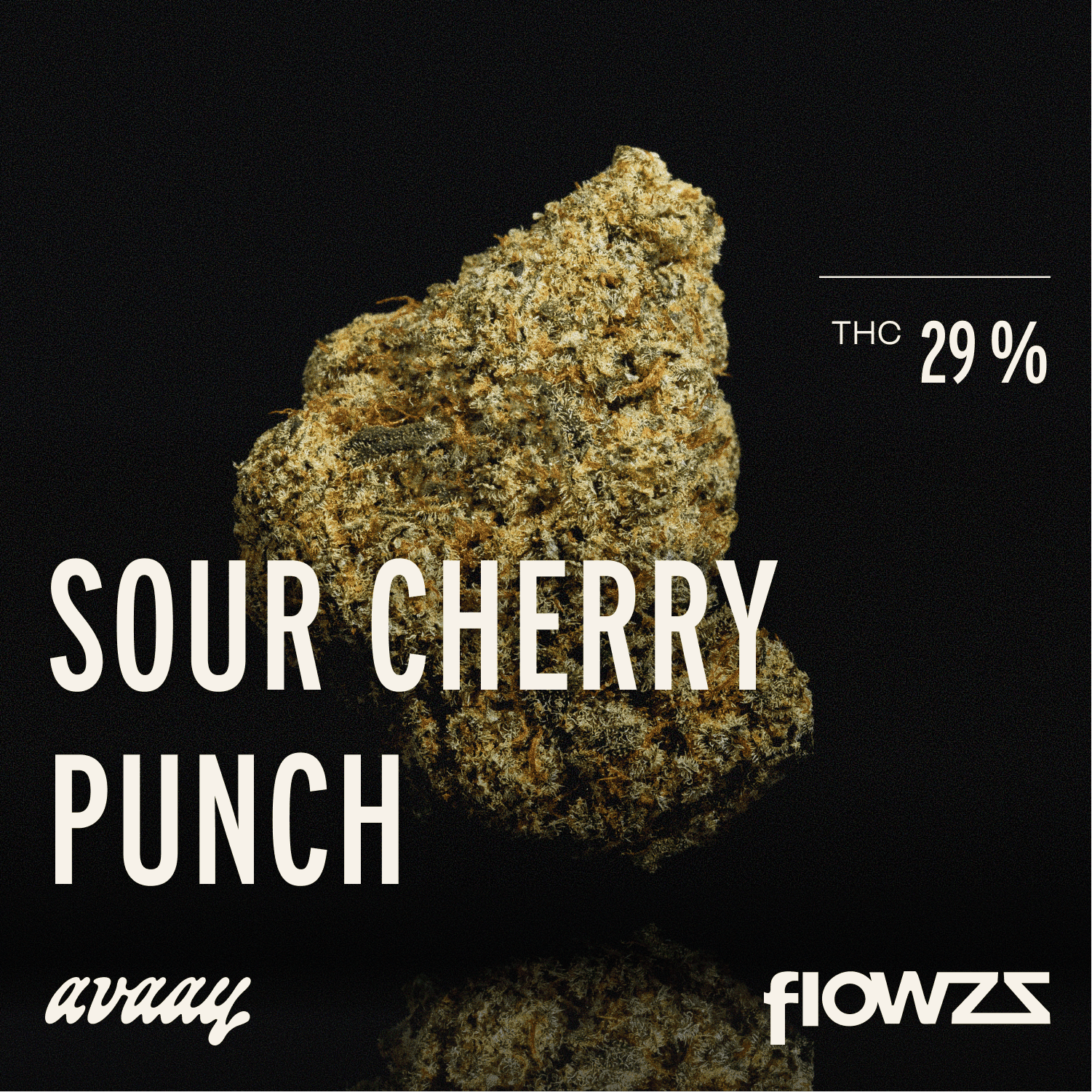 avaay 29/1 SCP Sour Cherry Punch