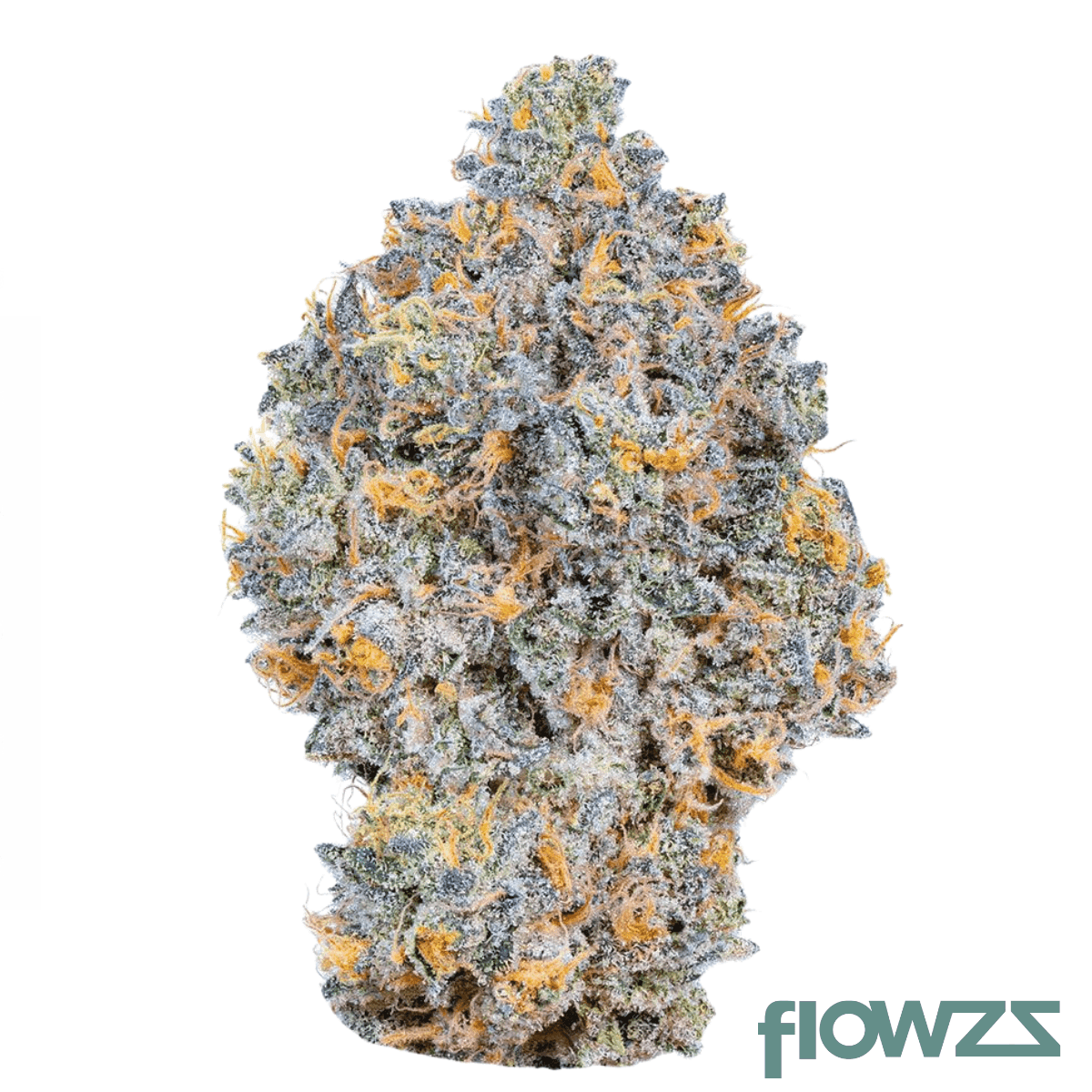 drwatson-18-rf-aus-rainbow-fruits