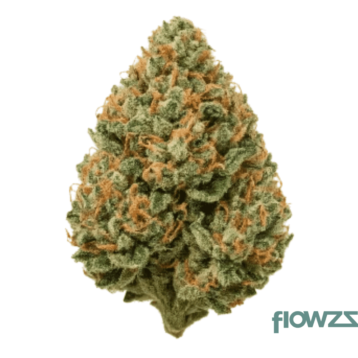 medicus-21-1-eza-fco-frosted-cookies