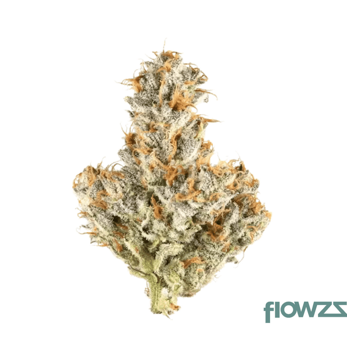 medical-saints-18-1-meb-mendo-breath