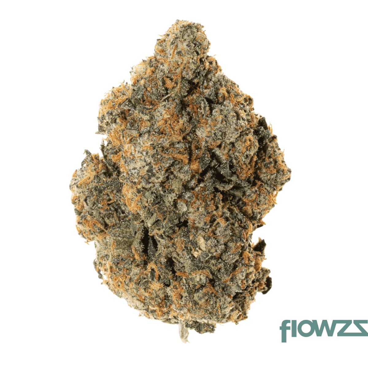 social-choice-18-1-alb-ush-unicorn-shoes