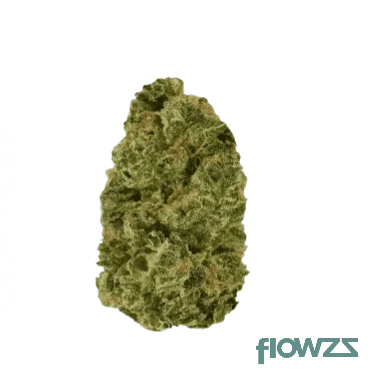 nice-20-1-dd-do-si-dos