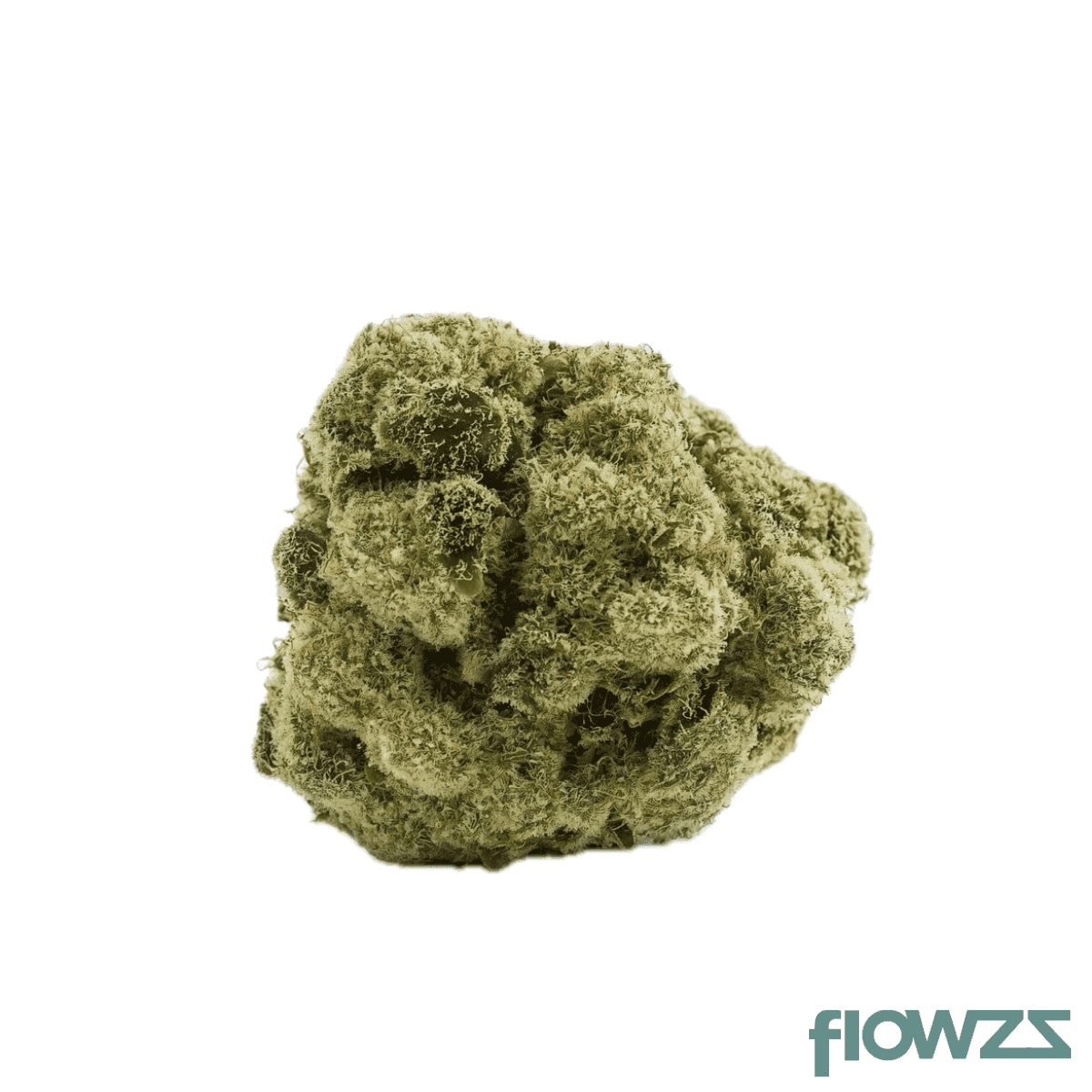 materia-and-18-1-andes