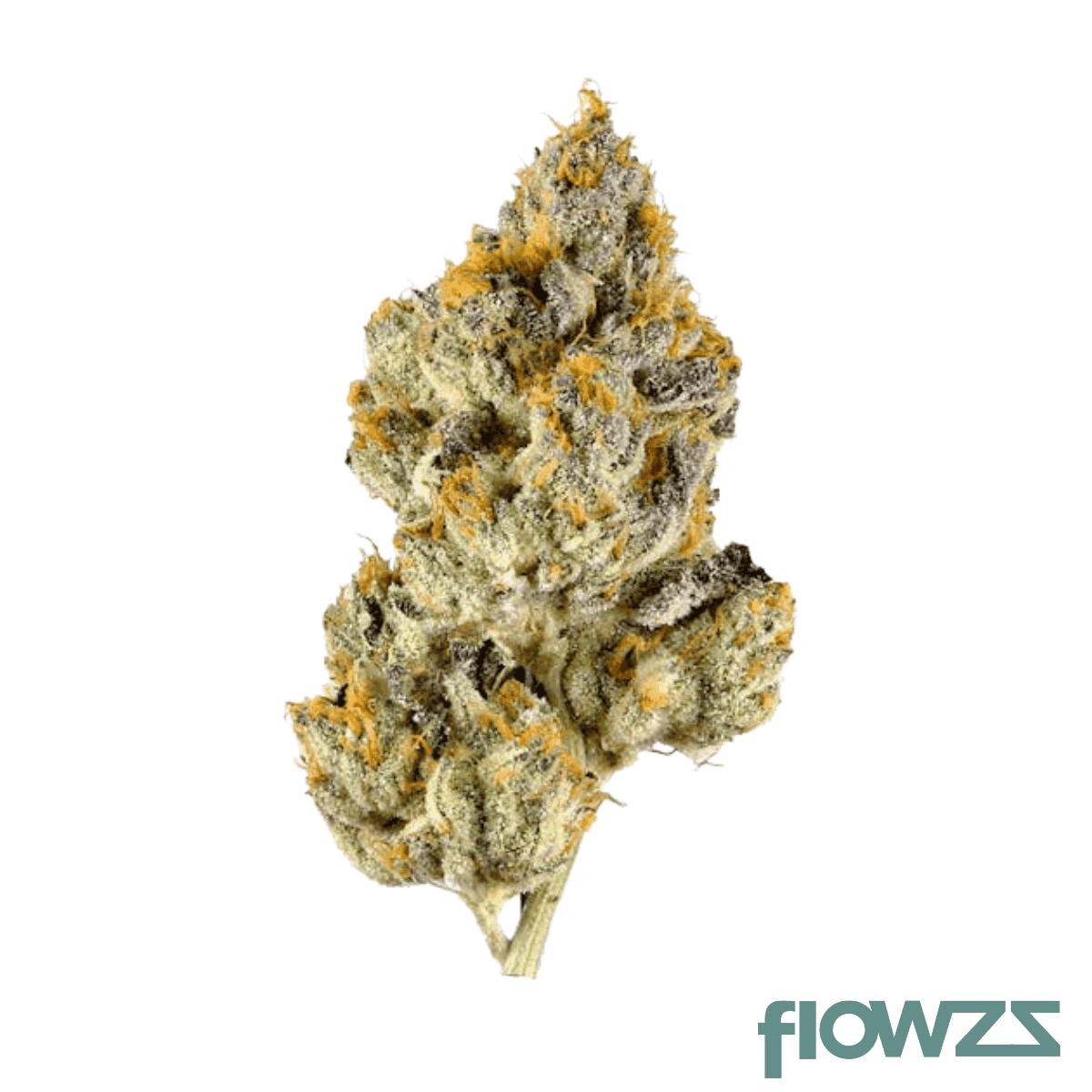 czechout-18-1-orz-oreoz