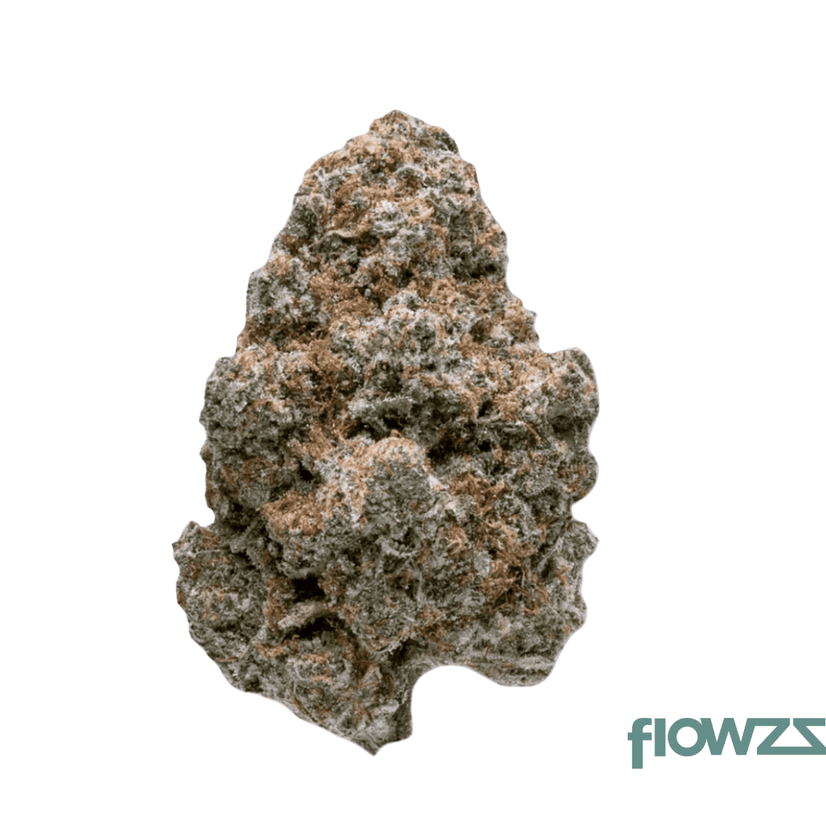 remexian-18-1-cbm-fui-future-island