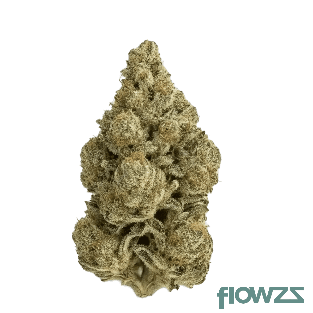 remexian-21-1-bbr-gas-gas