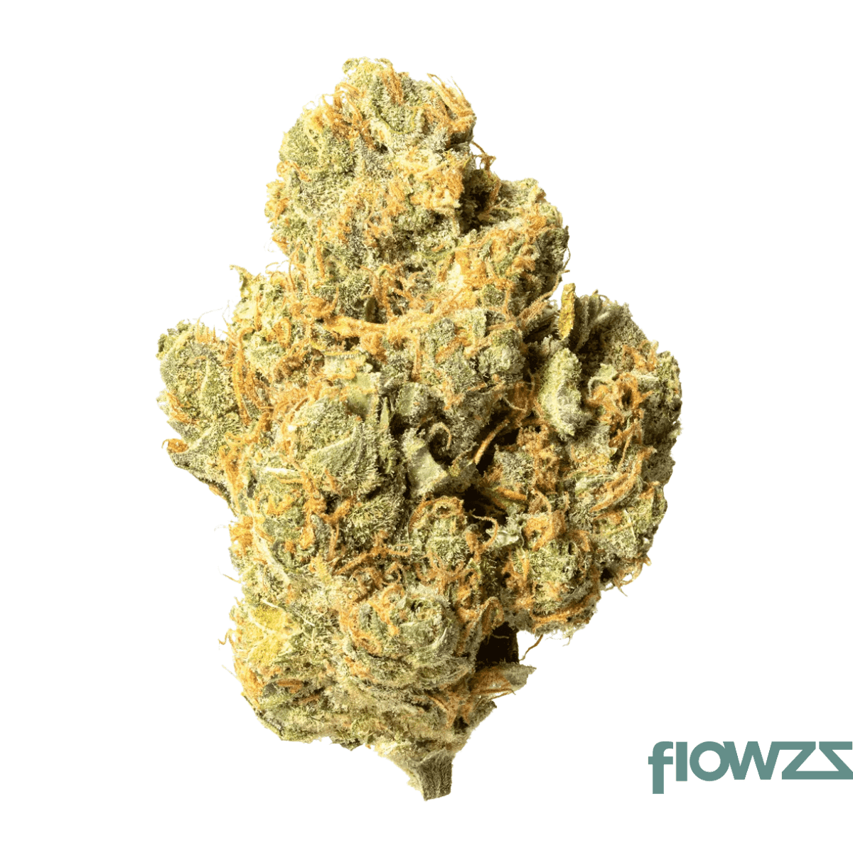 czech-out-21-1-flc-francos-lemon-cheese