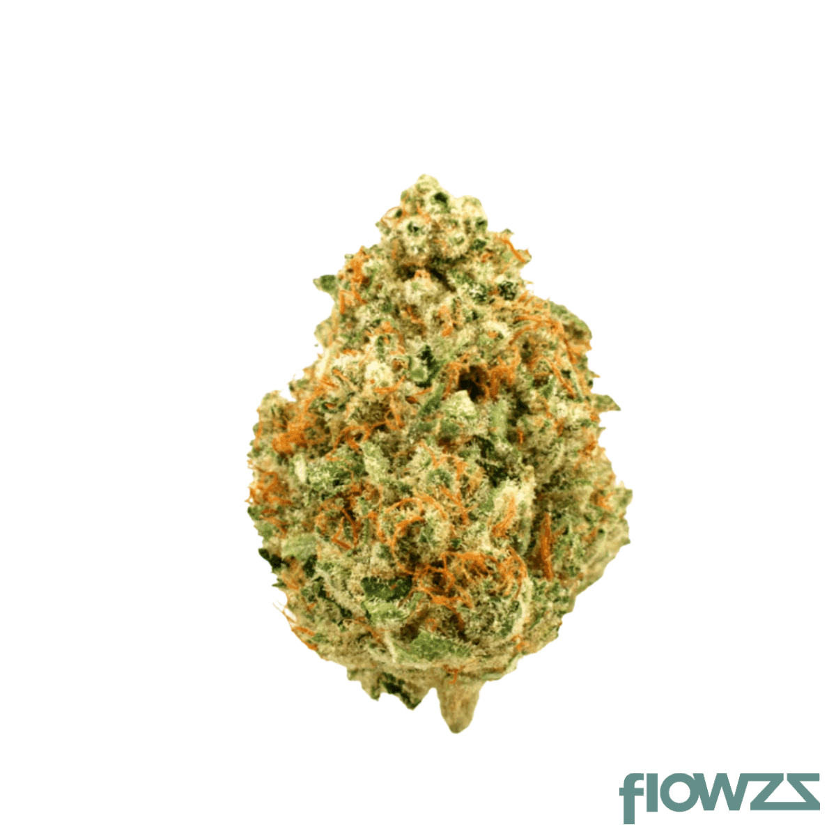 medical-saints-18-1-csw-cinnamon-swirl