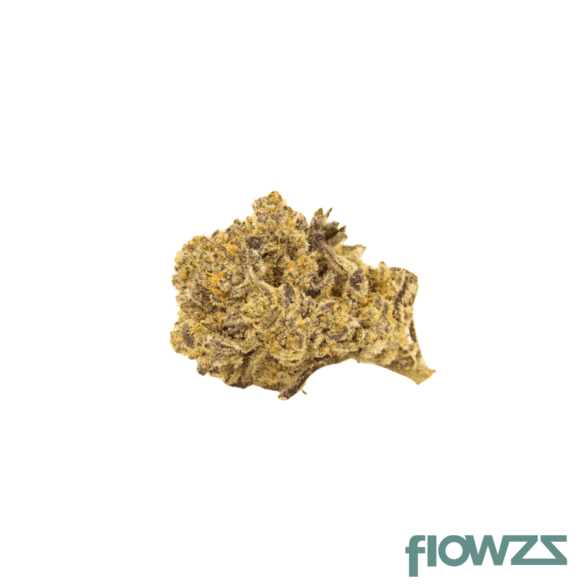 nice-15-1-lb-la-bomba