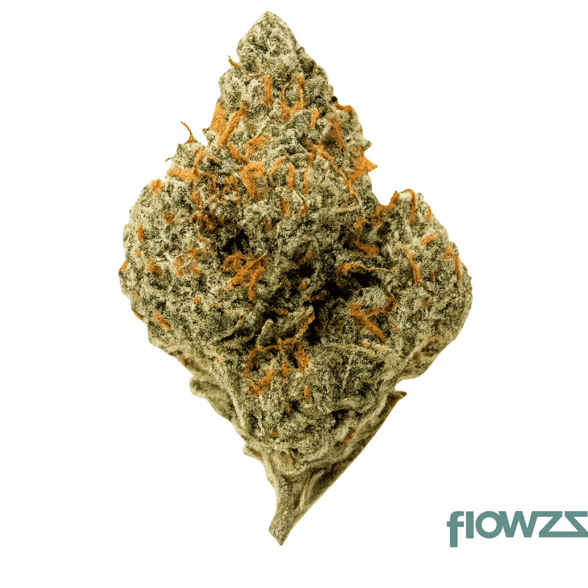 luana-kush-20-1-hippie-kush