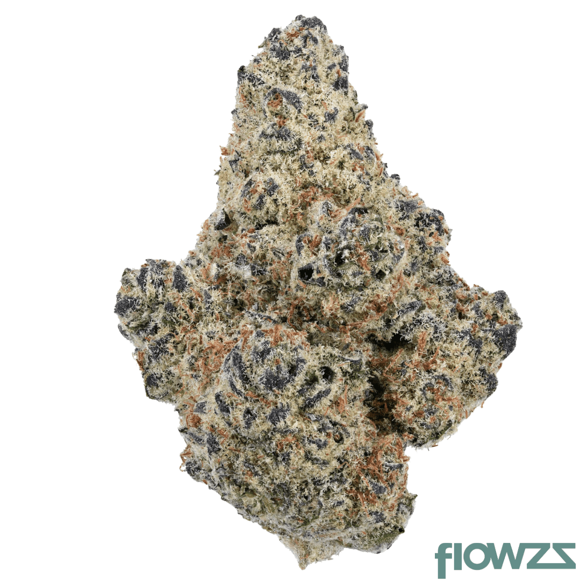 medical-saints-15-1-btu-black-tuna