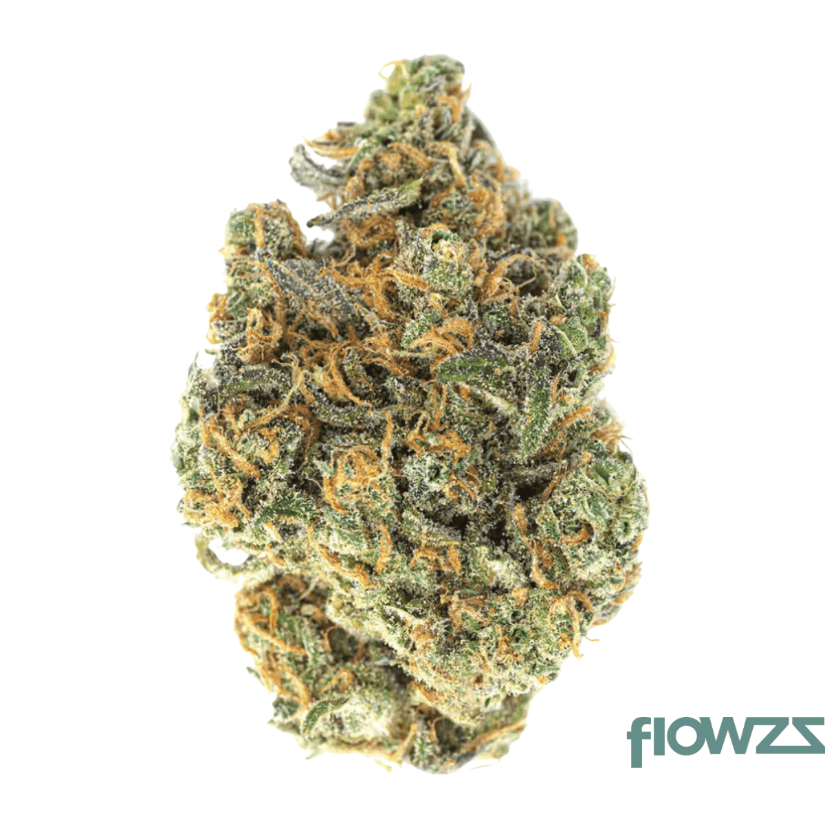 luana-20-1-starhaze-og