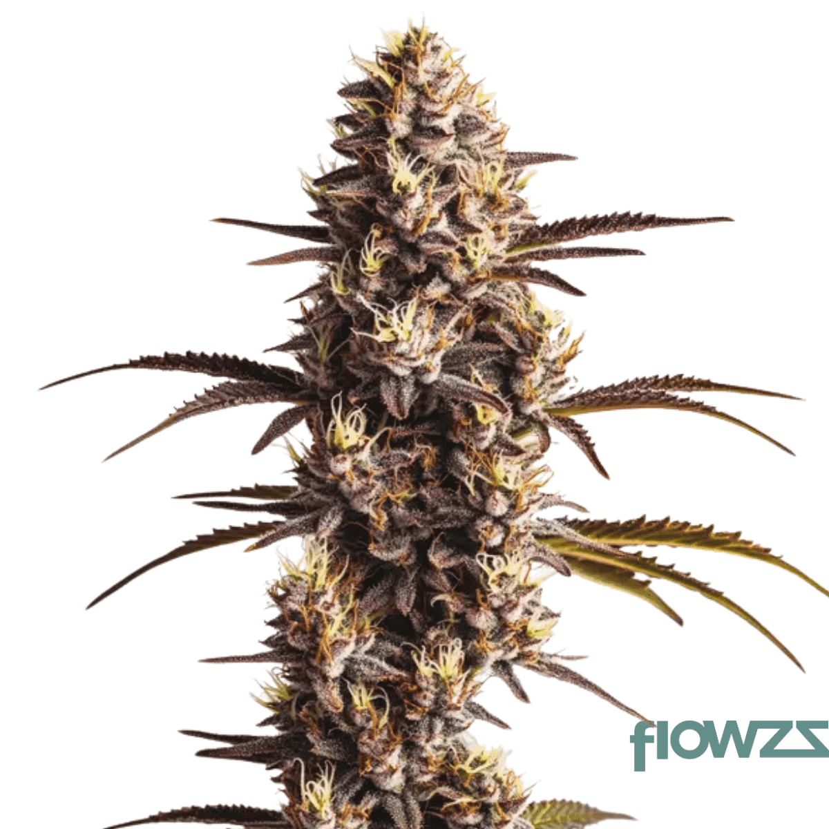 krumpet-og-london-pound-cake