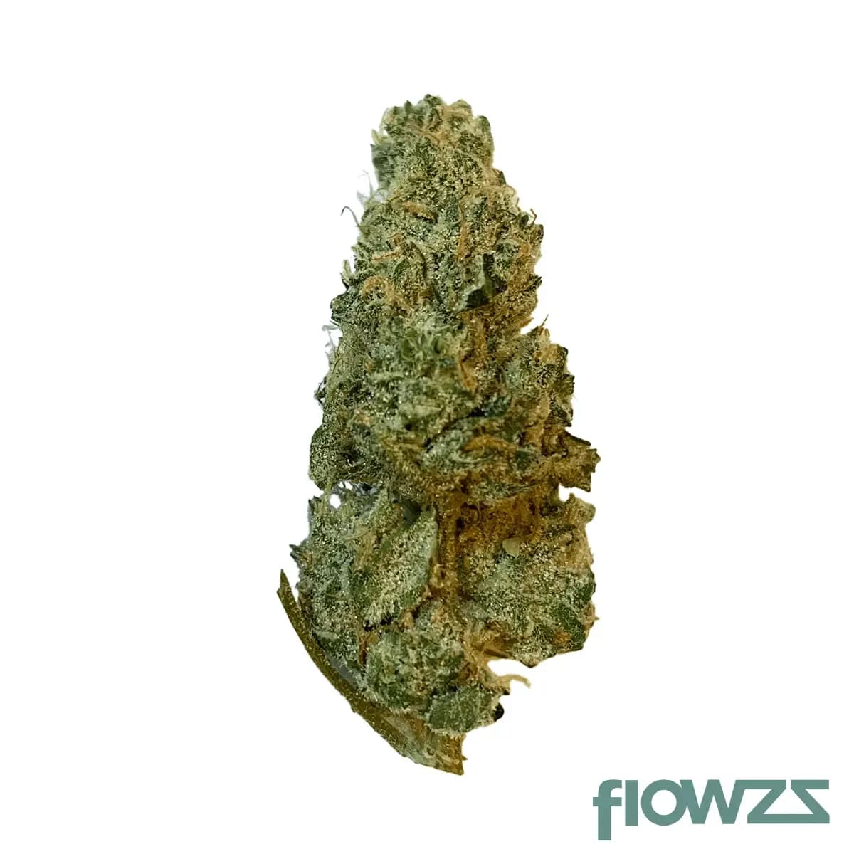 social-choice-18-1-mcp-gmo-cookies