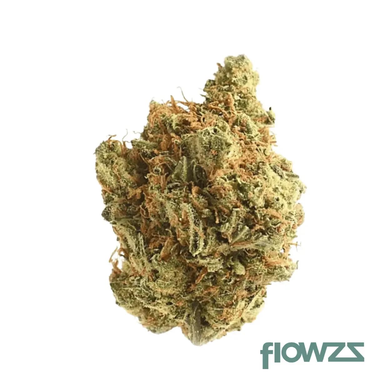 remexian-18-1-lux-ama-amsterdam-amnesia