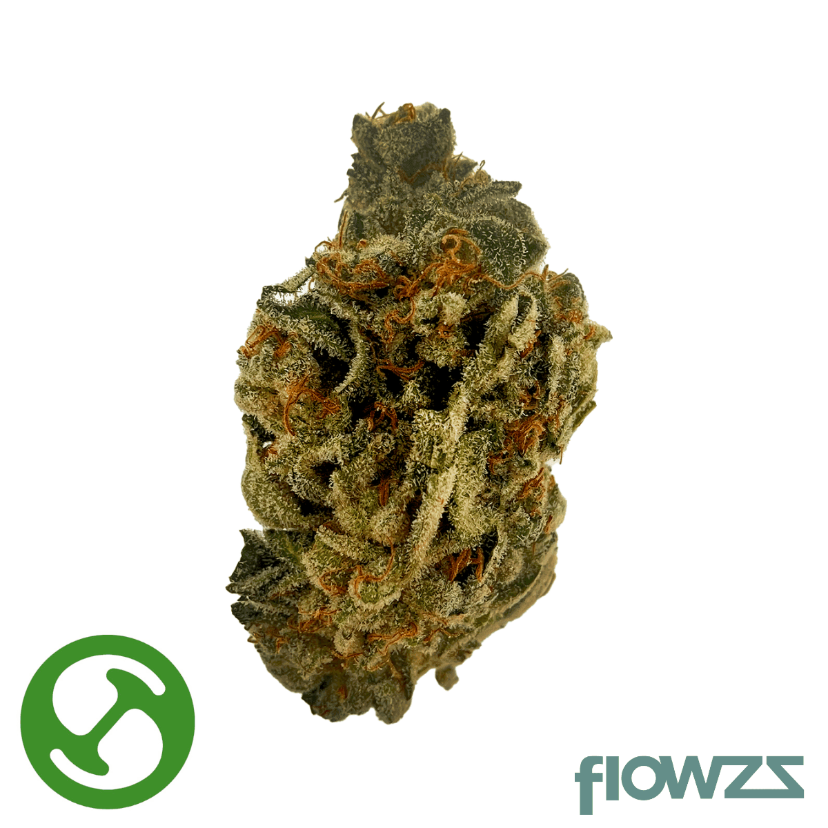 sibanax-gmo-zkittlez-21-1_gal