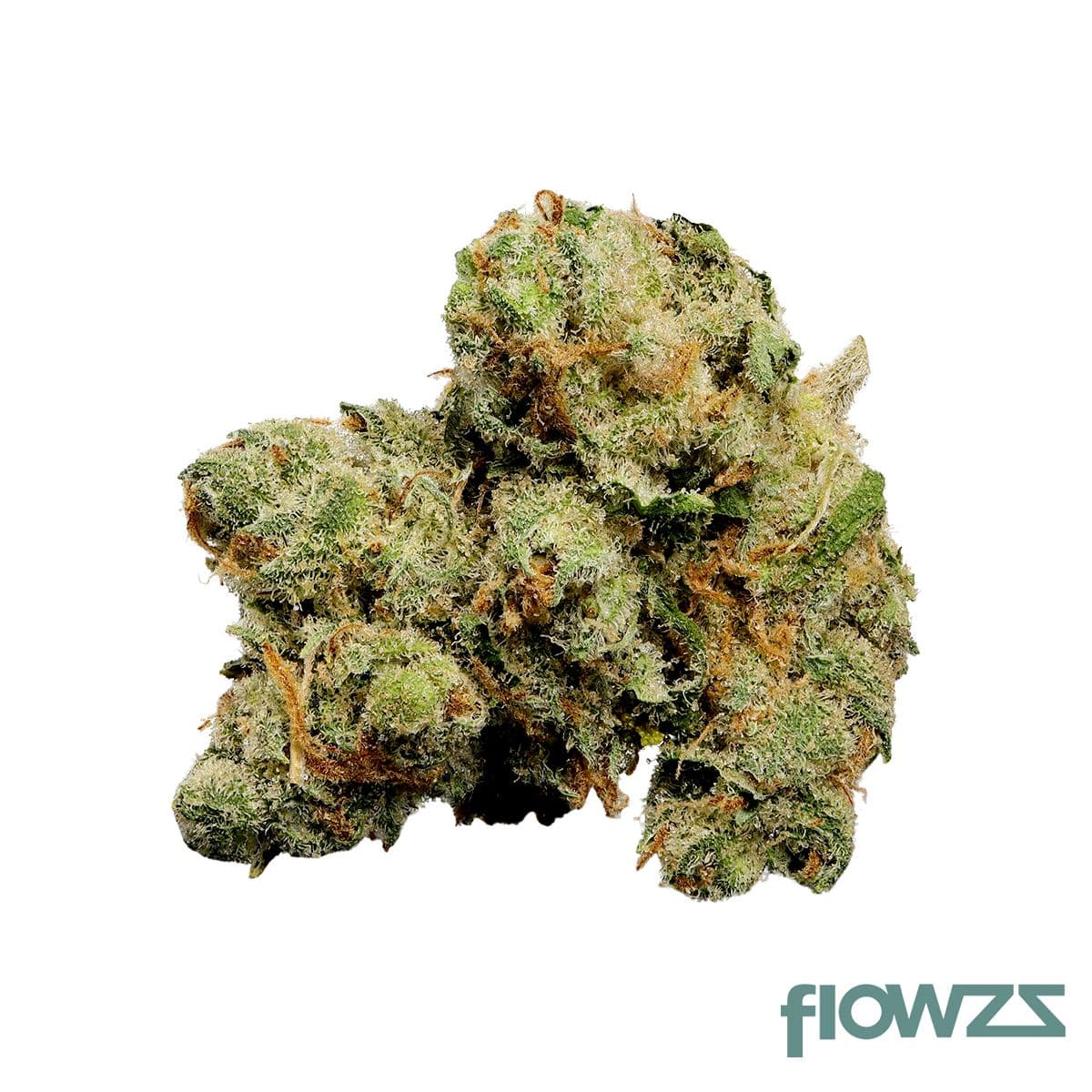 tilray-thc-22-spotlight-porto-jack-herer