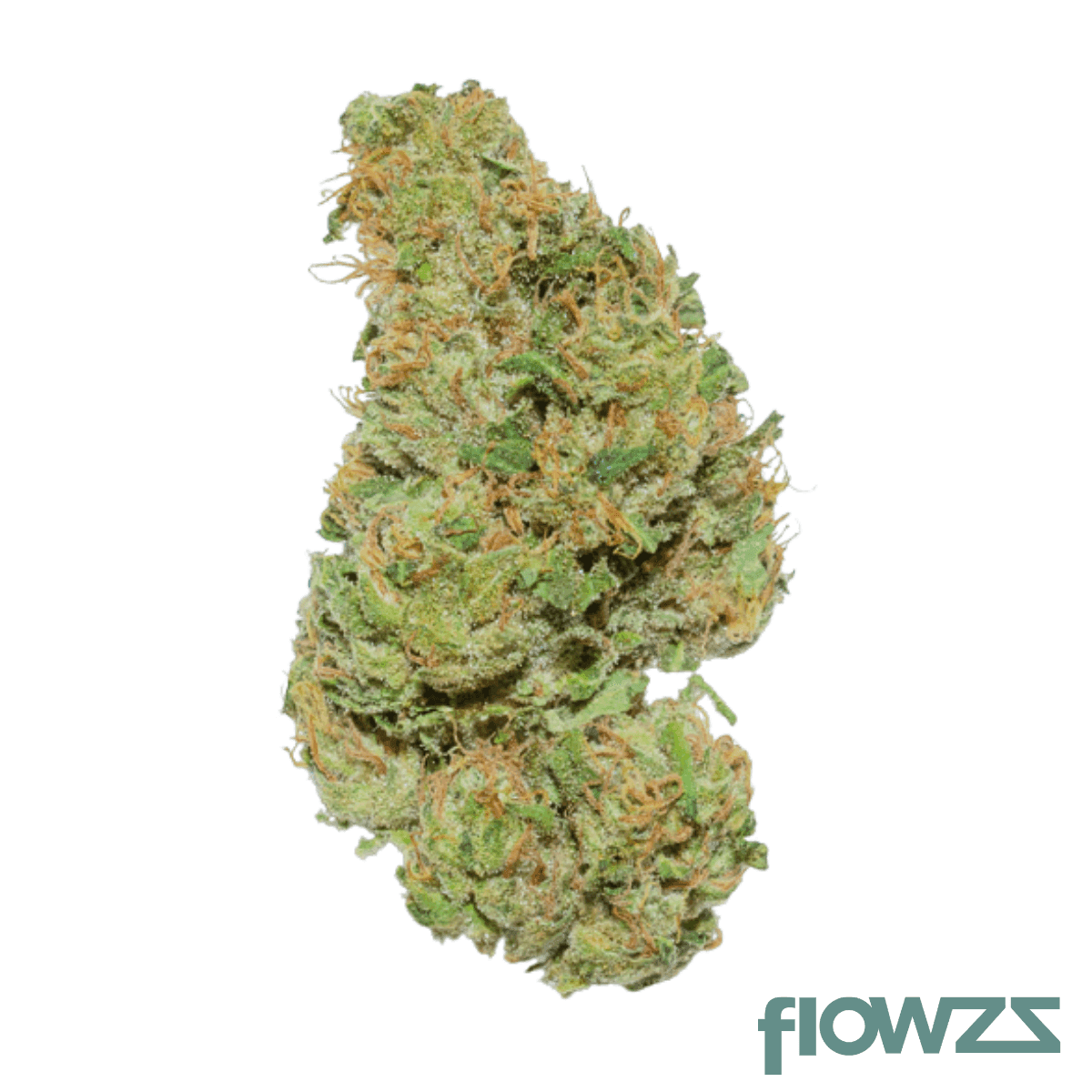 weeco-hk-20-1-hindu-kush