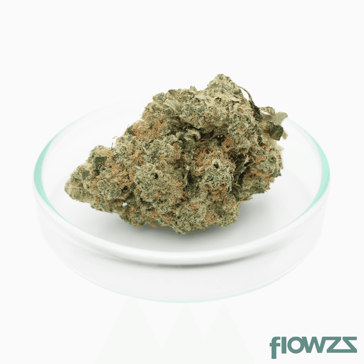 Grünhorn BC 33/1 Tiger Cake