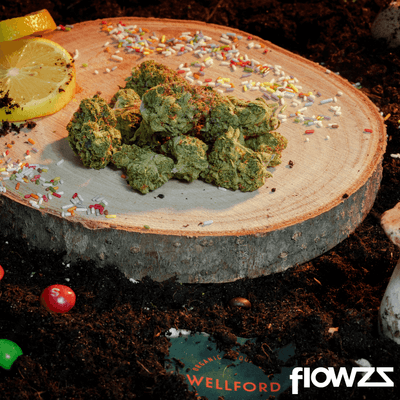 wellford-aquaponic-24-1-sdk-sensi-double-kush