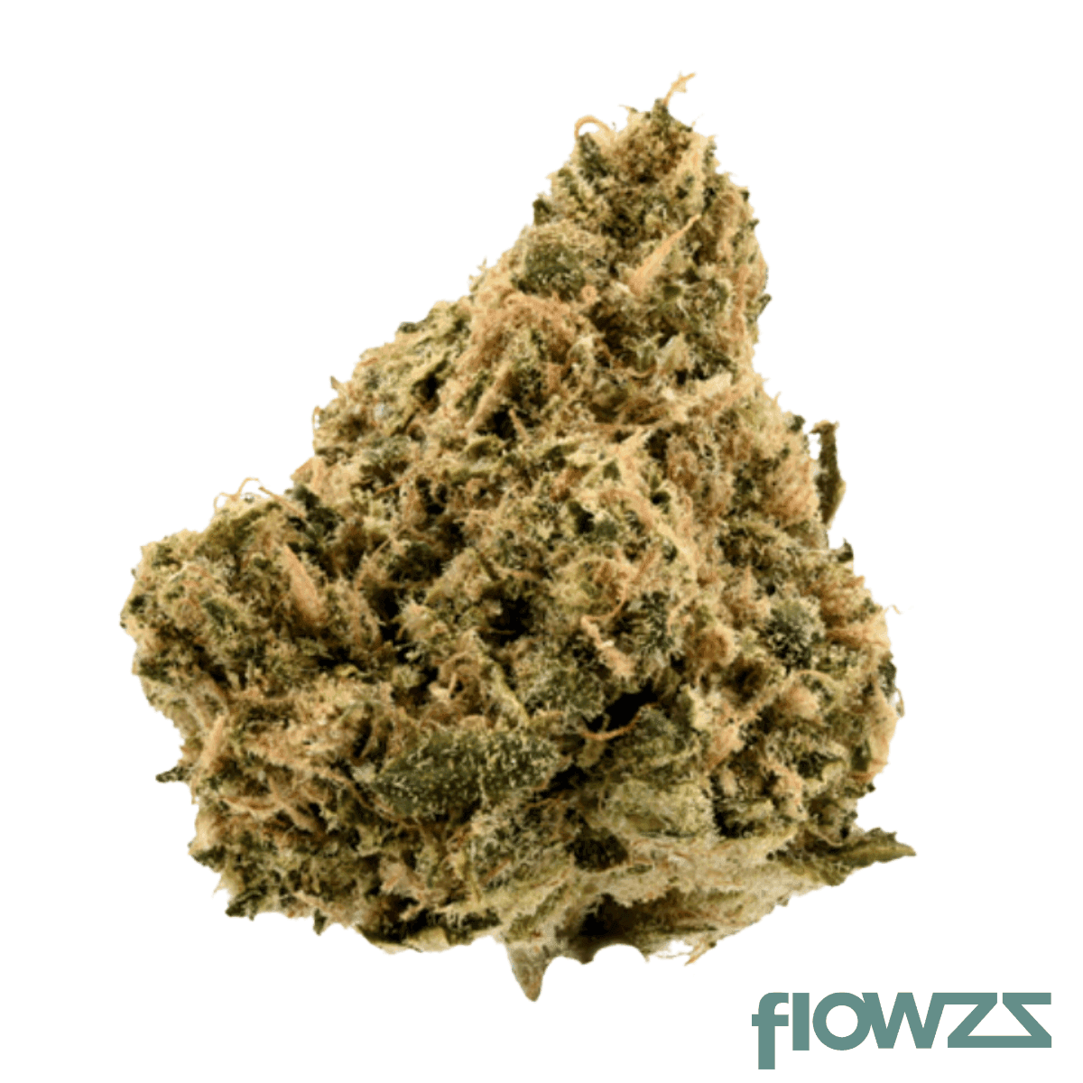 demecan-core-solar-21-1-black-russian