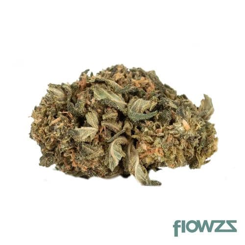 Navcora THC 22 Spotlight Porto Sirius