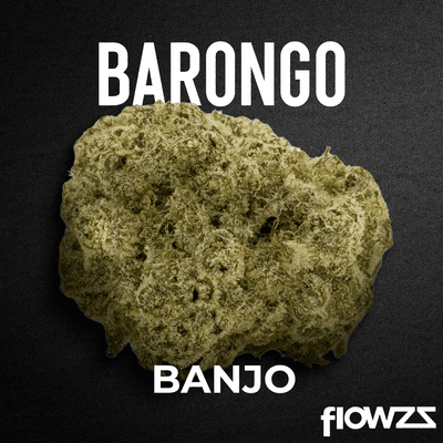 Barongo 24/1 Banjo