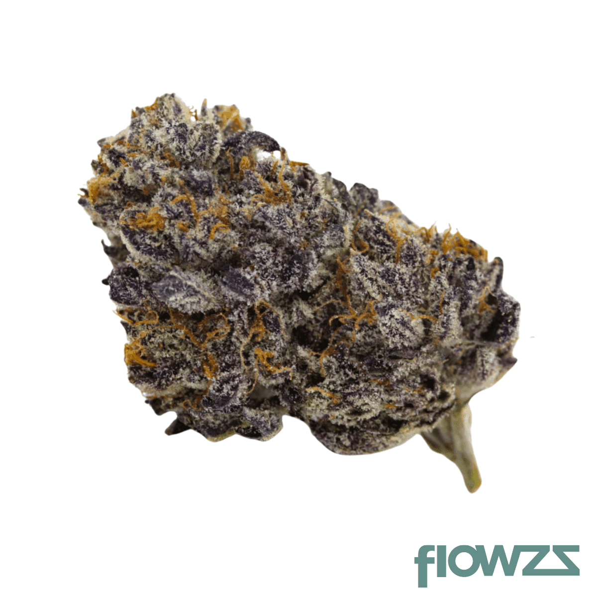all-nations-fg-25-1-frosted-gelato