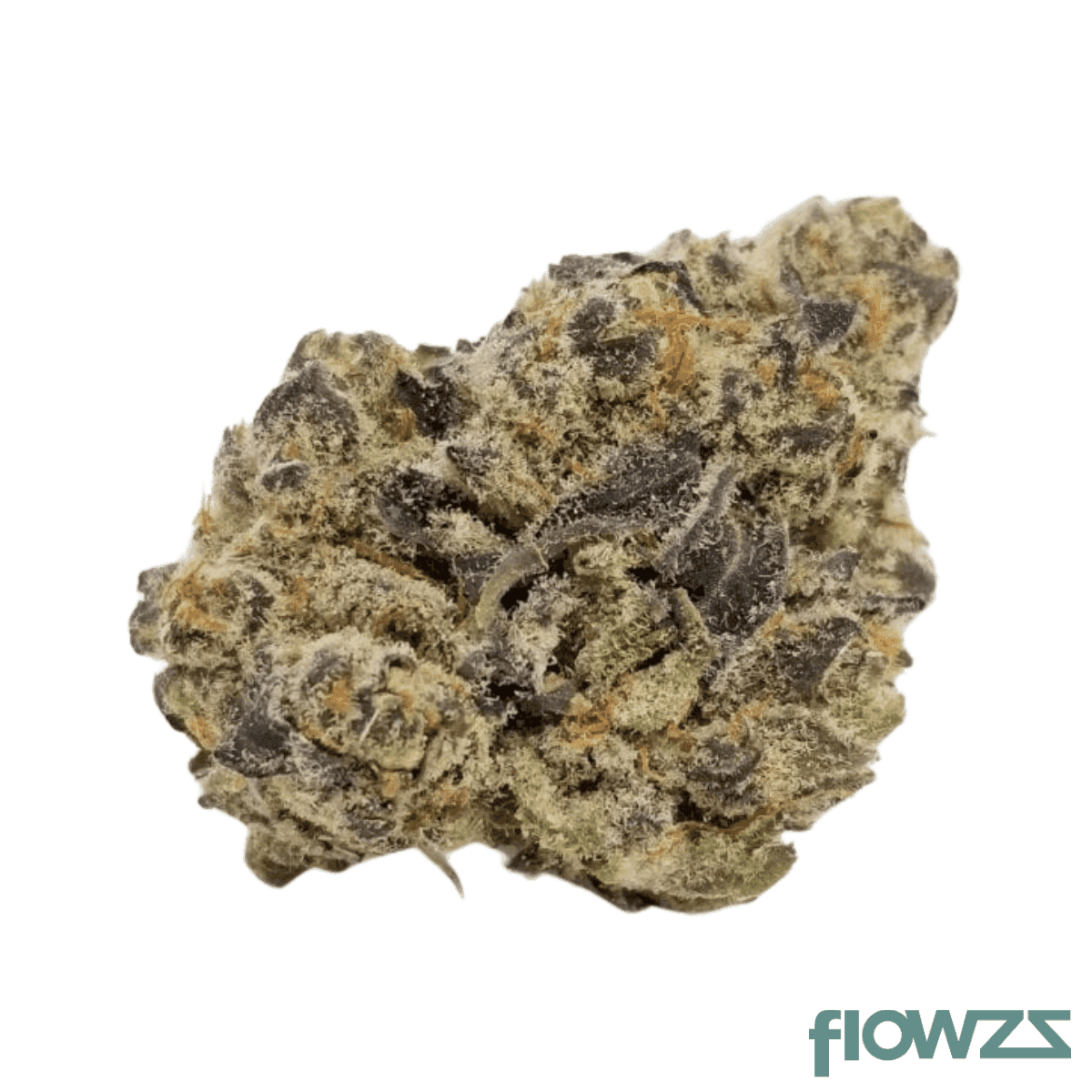 demecan-sc-light-drop-20-01-mimosa